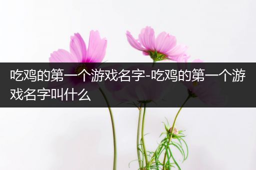 吃鸡的第一个游戏名字-吃鸡的第一个游戏名字叫什么