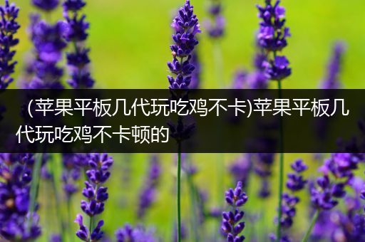 （苹果平板几代玩吃鸡不卡)苹果平板几代玩吃鸡不卡顿的