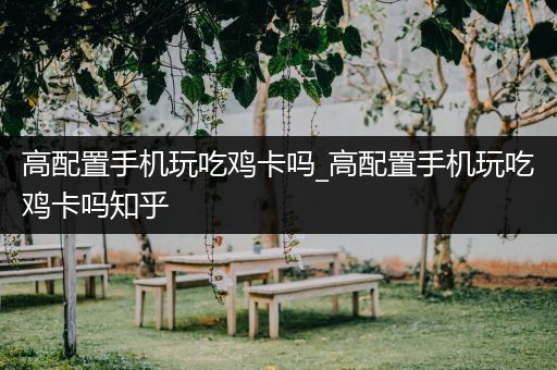 高配置手机玩吃鸡卡吗_高配置手机玩吃鸡卡吗知乎