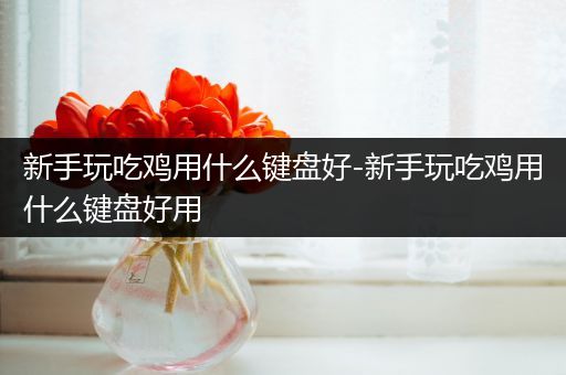 新手玩吃鸡用什么键盘好-新手玩吃鸡用什么键盘好用