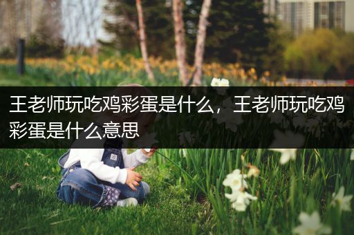 王老师玩吃鸡彩蛋是什么，王老师玩吃鸡彩蛋是什么意思