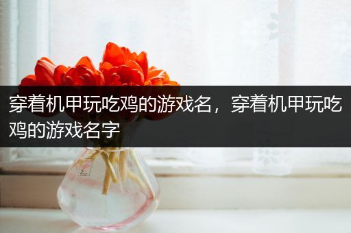 穿着机甲玩吃鸡的游戏名，穿着机甲玩吃鸡的游戏名字