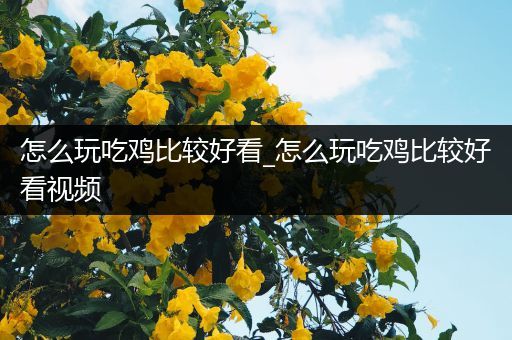 怎么玩吃鸡比较好看_怎么玩吃鸡比较好看视频
