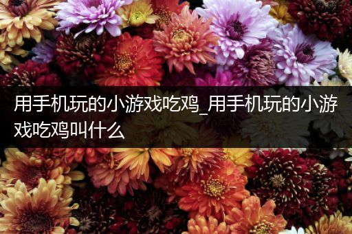 用手机玩的小游戏吃鸡_用手机玩的小游戏吃鸡叫什么