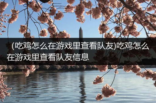 （吃鸡怎么在游戏里查看队友)吃鸡怎么在游戏里查看队友信息