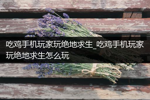 吃鸡手机玩家玩绝地求生_吃鸡手机玩家玩绝地求生怎么玩