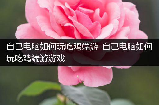 自己电脑如何玩吃鸡端游-自己电脑如何玩吃鸡端游游戏