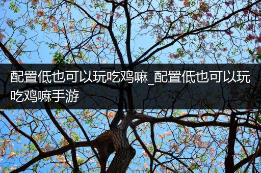 配置低也可以玩吃鸡嘛_配置低也可以玩吃鸡嘛手游