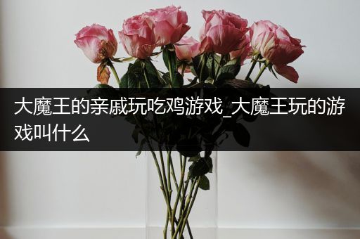 大魔王的亲戚玩吃鸡游戏_大魔王玩的游戏叫什么