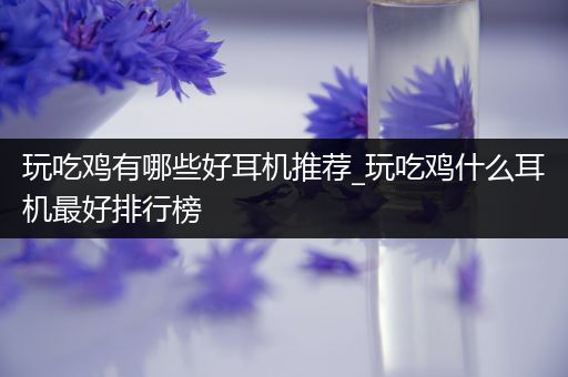 玩吃鸡有哪些好耳机推荐_玩吃鸡什么耳机最好排行榜