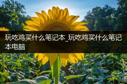 玩吃鸡买什么笔记本_玩吃鸡买什么笔记本电脑