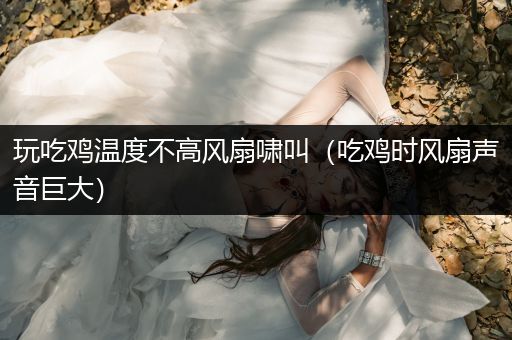 玩吃鸡温度不高风扇啸叫（吃鸡时风扇声音巨大）
