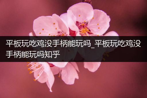 平板玩吃鸡没手柄能玩吗_平板玩吃鸡没手柄能玩吗知乎