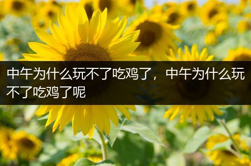 中午为什么玩不了吃鸡了，中午为什么玩不了吃鸡了呢