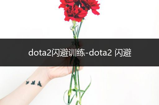 dota2闪避训练-dota2 闪避
