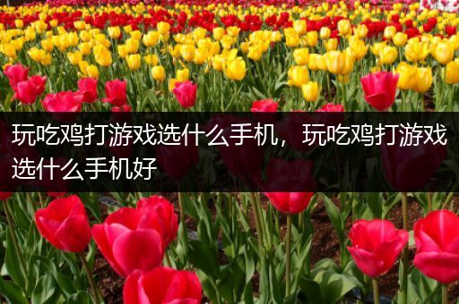 玩吃鸡打游戏选什么手机，玩吃鸡打游戏选什么手机好