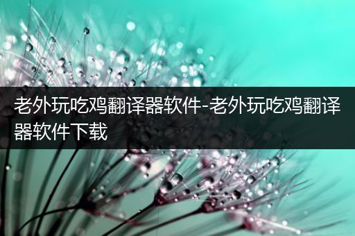 老外玩吃鸡翻译器软件-老外玩吃鸡翻译器软件下载