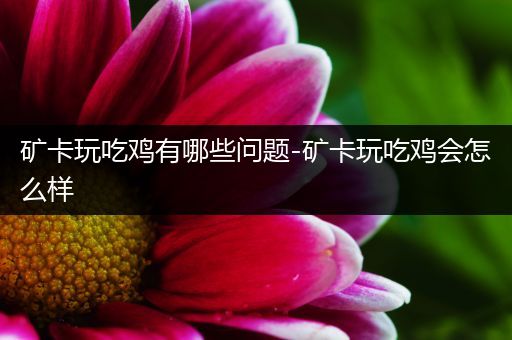 矿卡玩吃鸡有哪些问题-矿卡玩吃鸡会怎么样