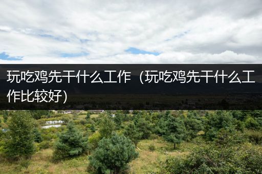 玩吃鸡先干什么工作（玩吃鸡先干什么工作比较好）