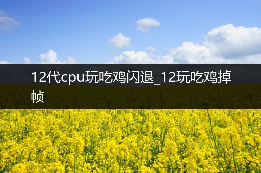 12代cpu玩吃鸡闪退_12玩吃鸡掉帧