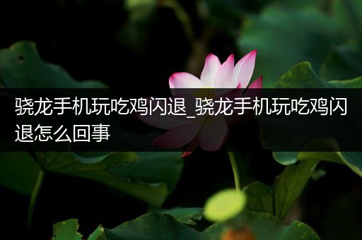 骁龙手机玩吃鸡闪退_骁龙手机玩吃鸡闪退怎么回事