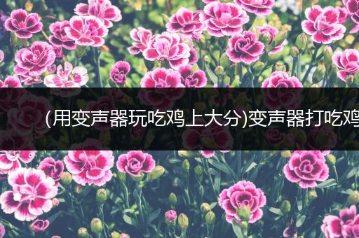 （用变声器玩吃鸡上大分)变声器打吃鸡