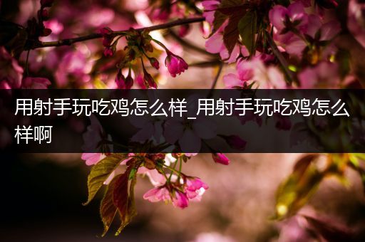 用射手玩吃鸡怎么样_用射手玩吃鸡怎么样啊