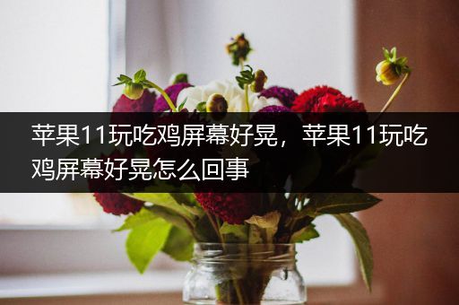 苹果11玩吃鸡屏幕好晃，苹果11玩吃鸡屏幕好晃怎么回事