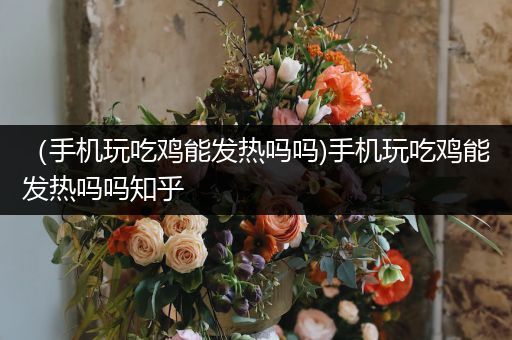 （手机玩吃鸡能发热吗吗)手机玩吃鸡能发热吗吗知乎
