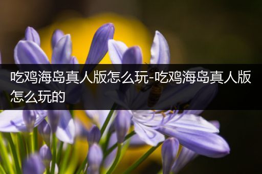 吃鸡海岛真人版怎么玩-吃鸡海岛真人版怎么玩的
