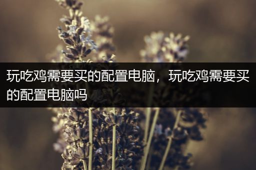 玩吃鸡需要买的配置电脑，玩吃鸡需要买的配置电脑吗