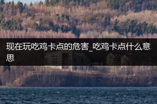 现在玩吃鸡卡点的危害_吃鸡卡点什么意思
