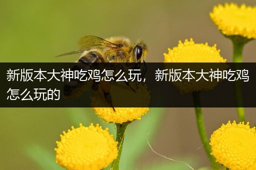 新版本大神吃鸡怎么玩，新版本大神吃鸡怎么玩的