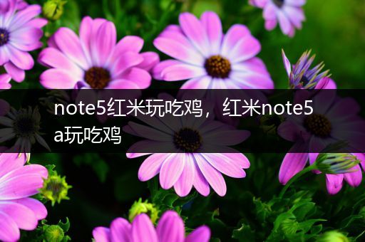 note5红米玩吃鸡，红米note5a玩吃鸡