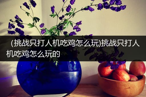 （挑战只打人机吃鸡怎么玩)挑战只打人机吃鸡怎么玩的