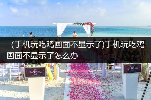 （手机玩吃鸡画面不显示了)手机玩吃鸡画面不显示了怎么办