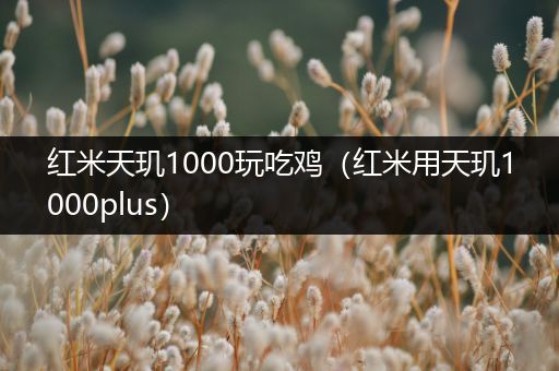 红米天玑1000玩吃鸡（红米用天玑1000plus）