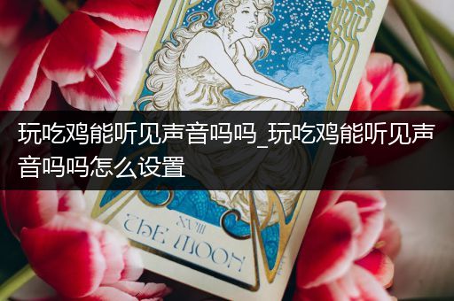 玩吃鸡能听见声音吗吗_玩吃鸡能听见声音吗吗怎么设置