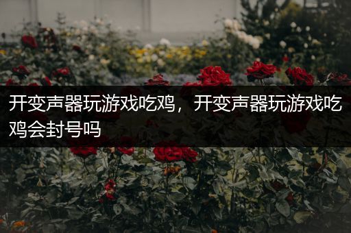 开变声器玩游戏吃鸡，开变声器玩游戏吃鸡会封号吗