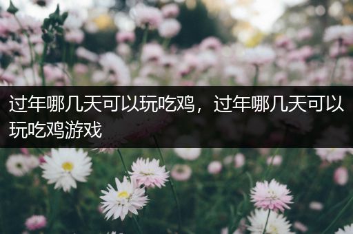 过年哪几天可以玩吃鸡，过年哪几天可以玩吃鸡游戏
