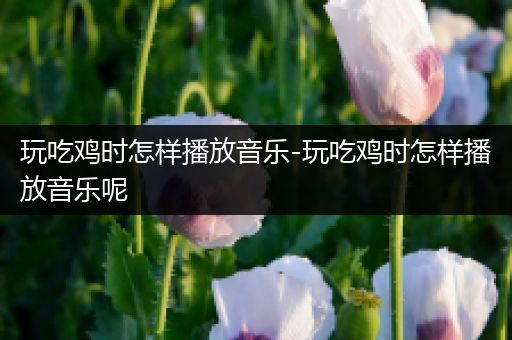 玩吃鸡时怎样播放音乐-玩吃鸡时怎样播放音乐呢