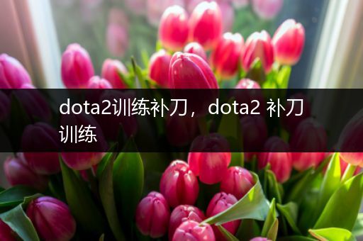 dota2训练补刀，dota2 补刀训练