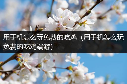 用手机怎么玩免费的吃鸡（用手机怎么玩免费的吃鸡端游）