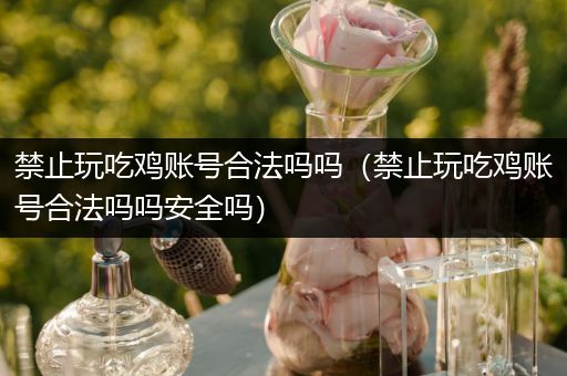 禁止玩吃鸡账号合法吗吗（禁止玩吃鸡账号合法吗吗安全吗）