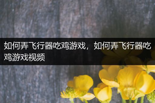 如何弄飞行器吃鸡游戏，如何弄飞行器吃鸡游戏视频