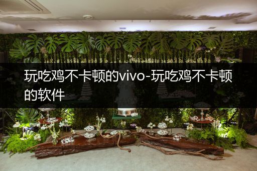 玩吃鸡不卡顿的vivo-玩吃鸡不卡顿的软件