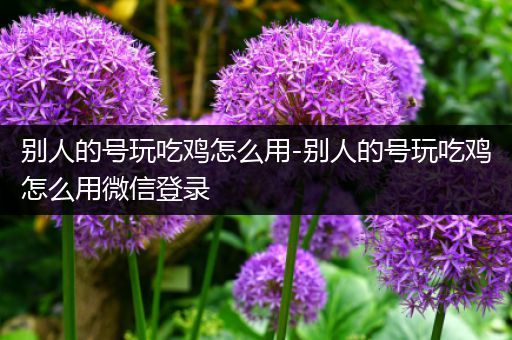别人的号玩吃鸡怎么用-别人的号玩吃鸡怎么用微信登录
