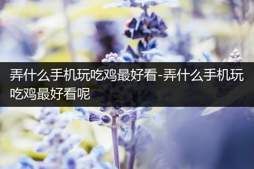 弄什么手机玩吃鸡最好看-弄什么手机玩吃鸡最好看呢