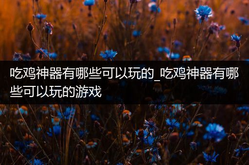 吃鸡神器有哪些可以玩的_吃鸡神器有哪些可以玩的游戏