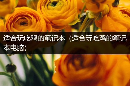 适合玩吃鸡的笔记本（适合玩吃鸡的笔记本电脑）